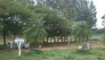 /album/mango-mist-resort-with-colleagues/dsc-0244-large-medium-jpg/